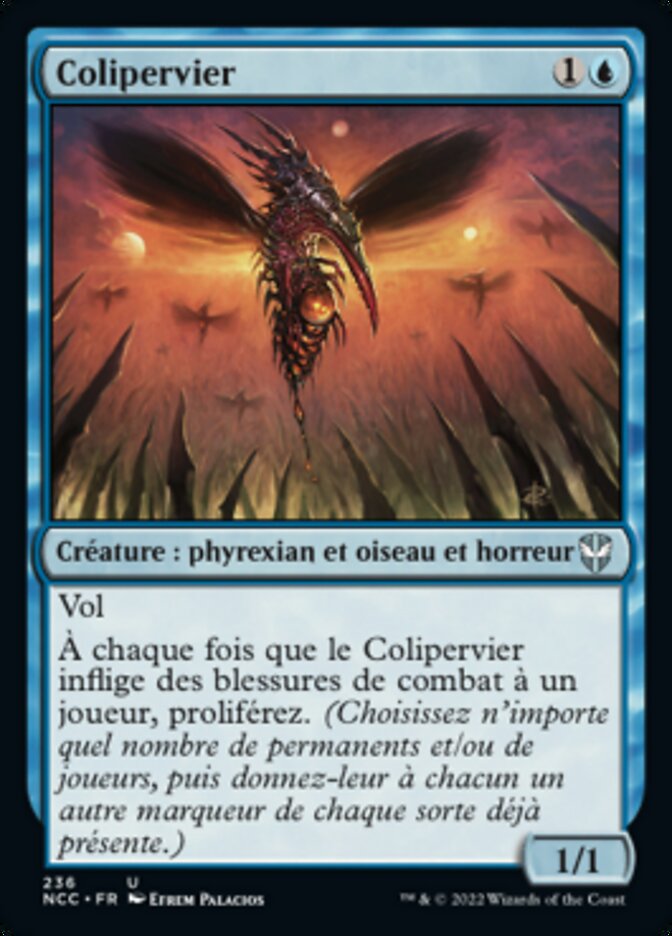 image Colipervier