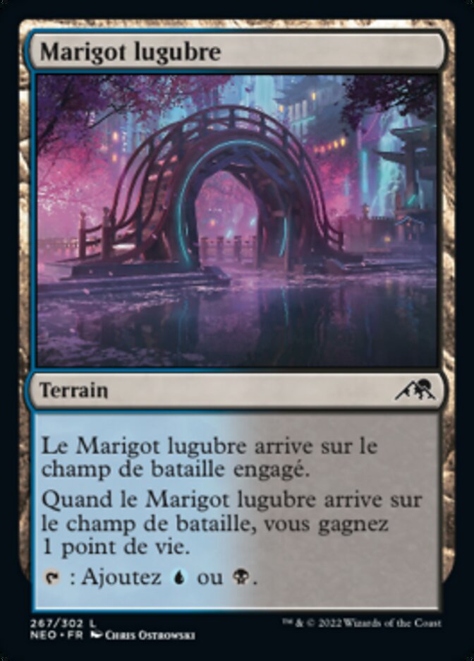 image Marigot lugubre