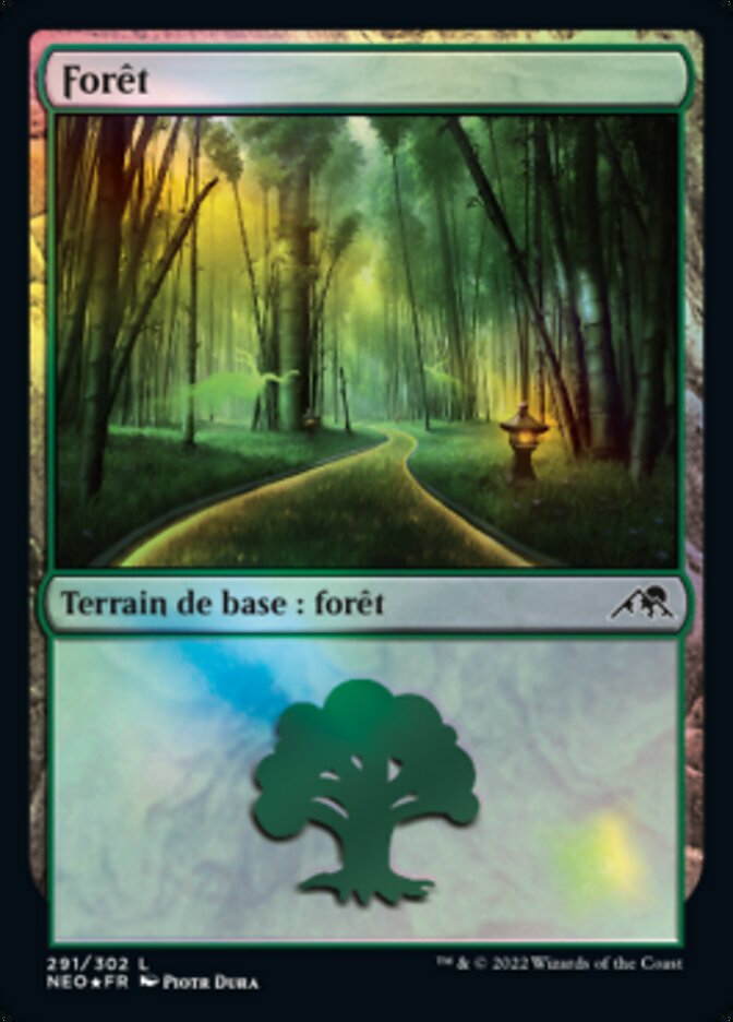 image Forêt