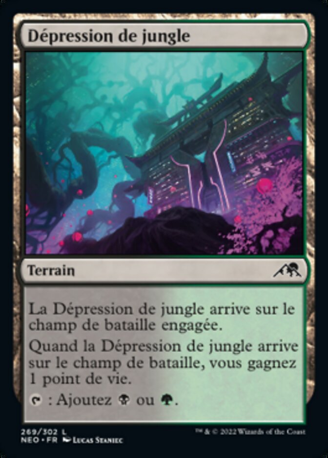 image Dépression de jungle