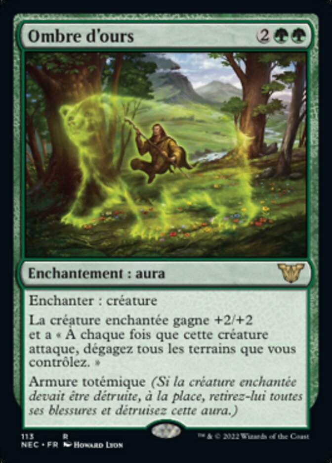 image Ombre d'ours