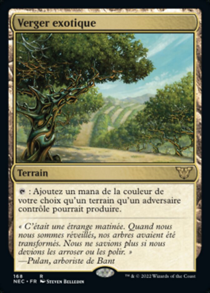 image Verger exotique