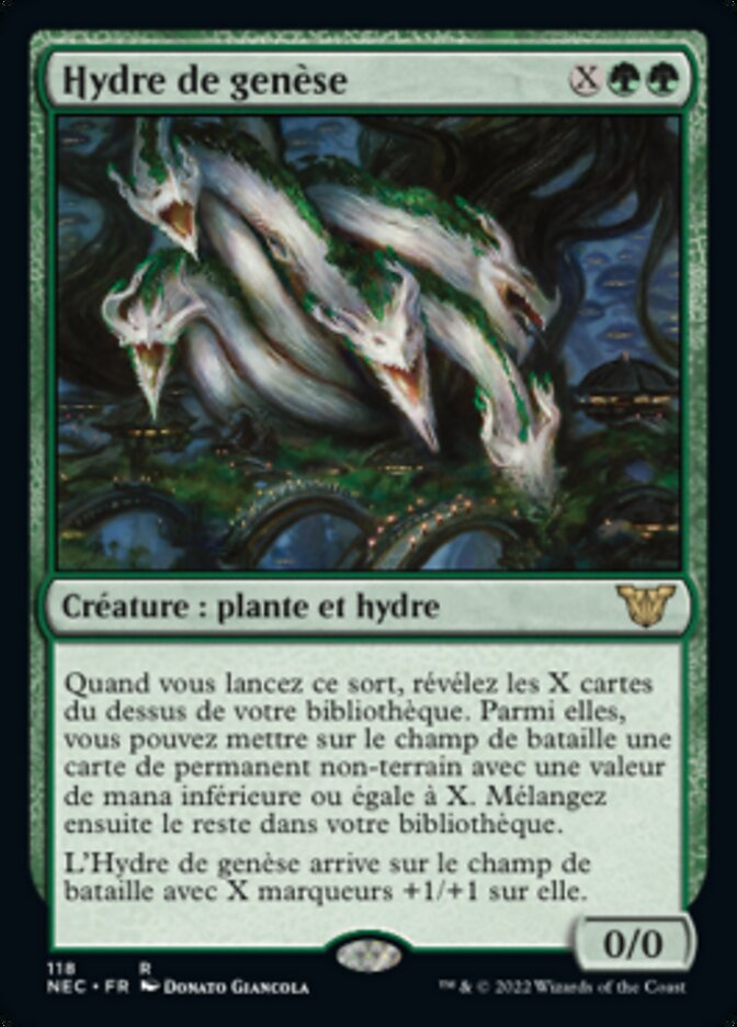 image Hydre de genèse
