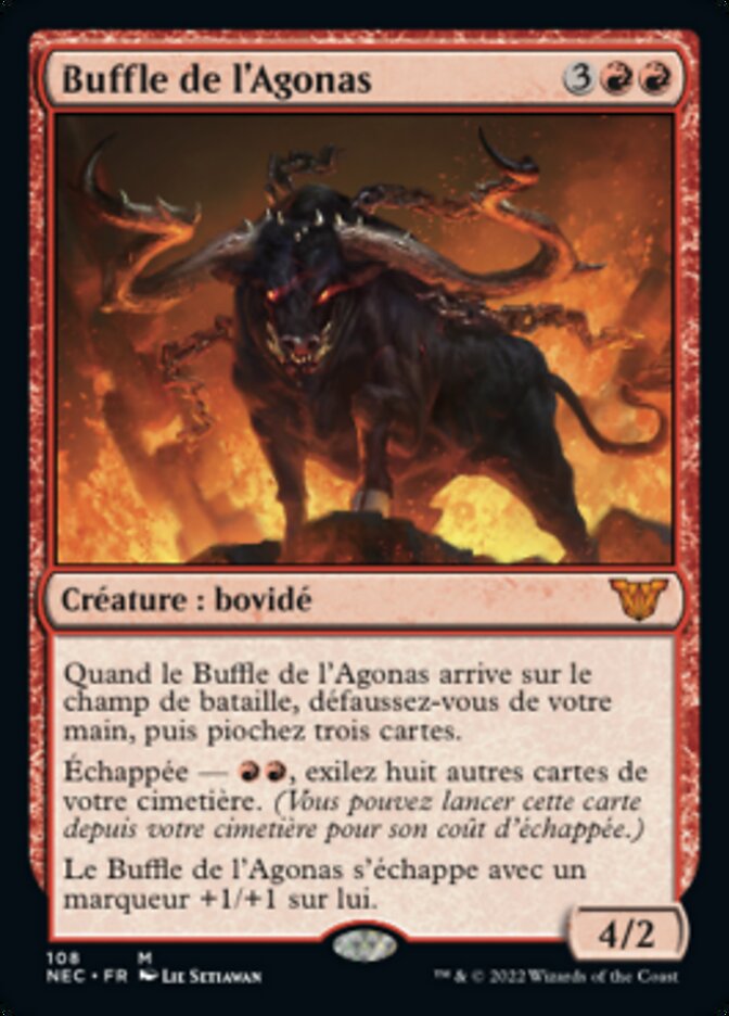 image Buffle de l'Agonas