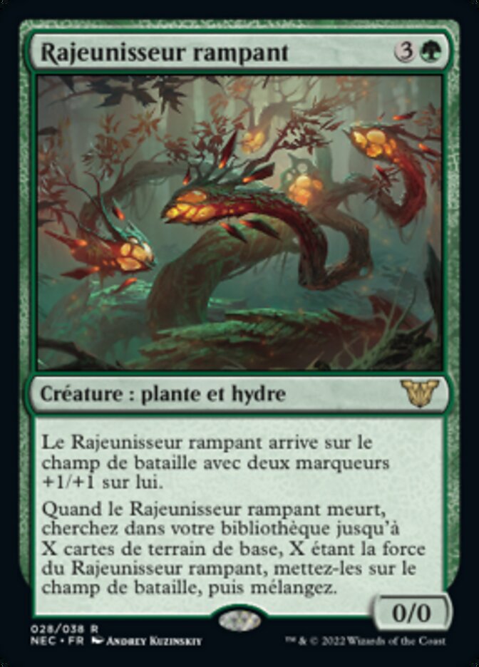 image Rajeunisseur rampant