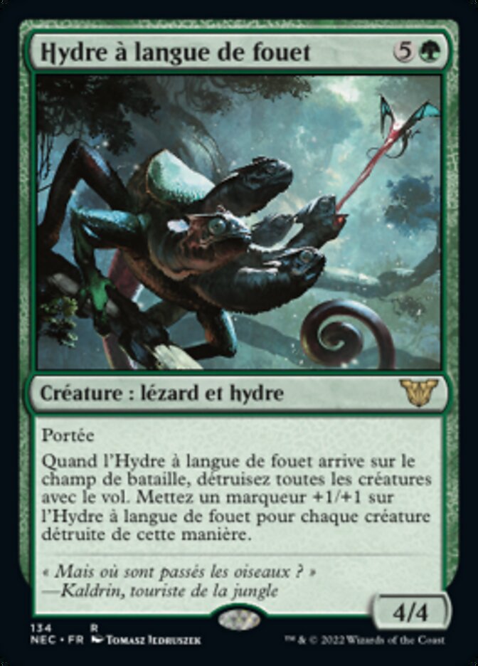 image Hydre à langue de fouet