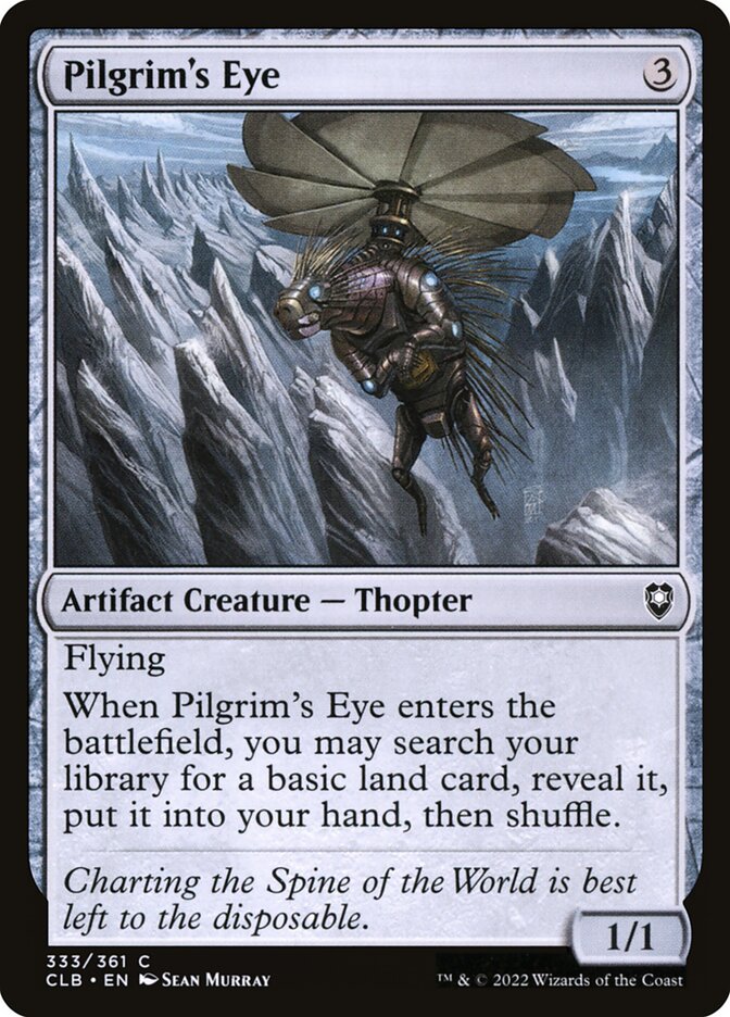 image Pilgrim's Eye