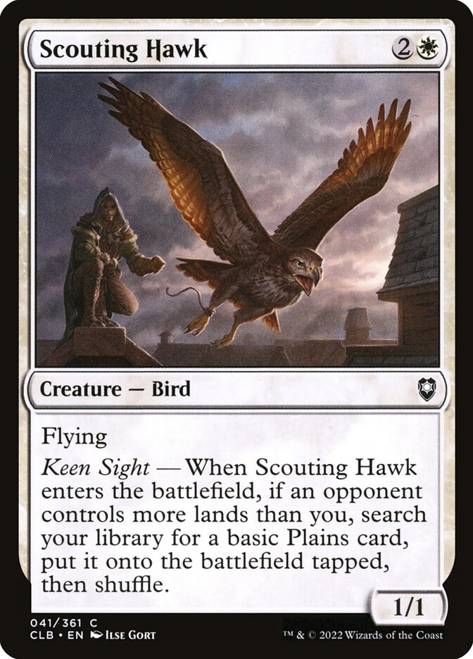 image Scouting Hawk