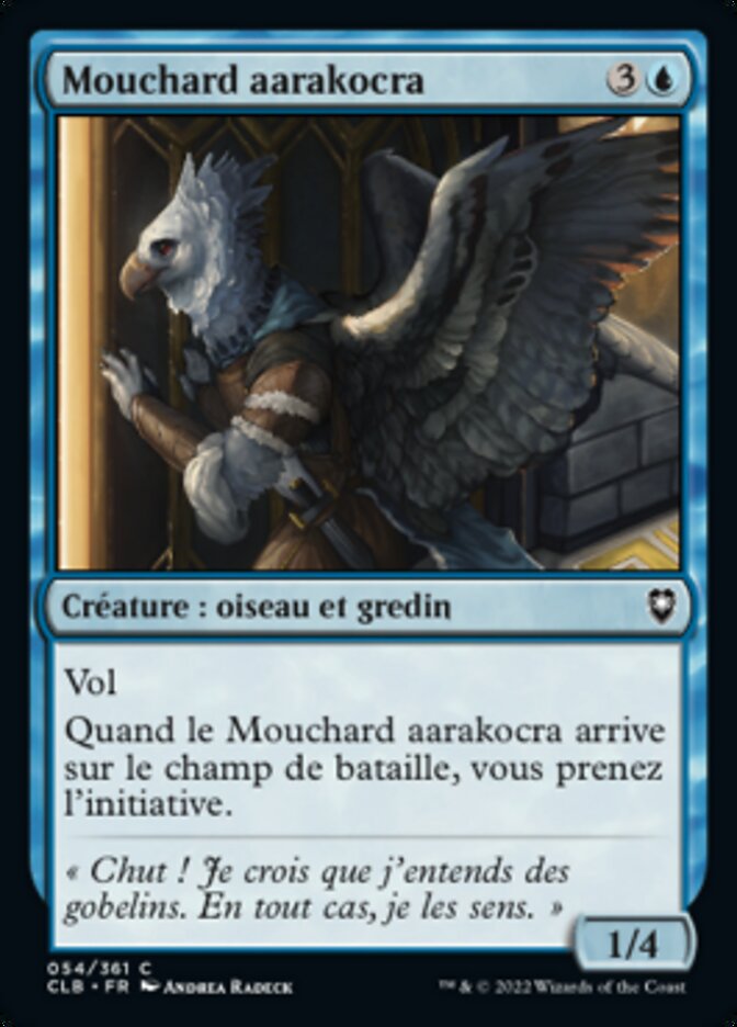 image Mouchard aarakocra