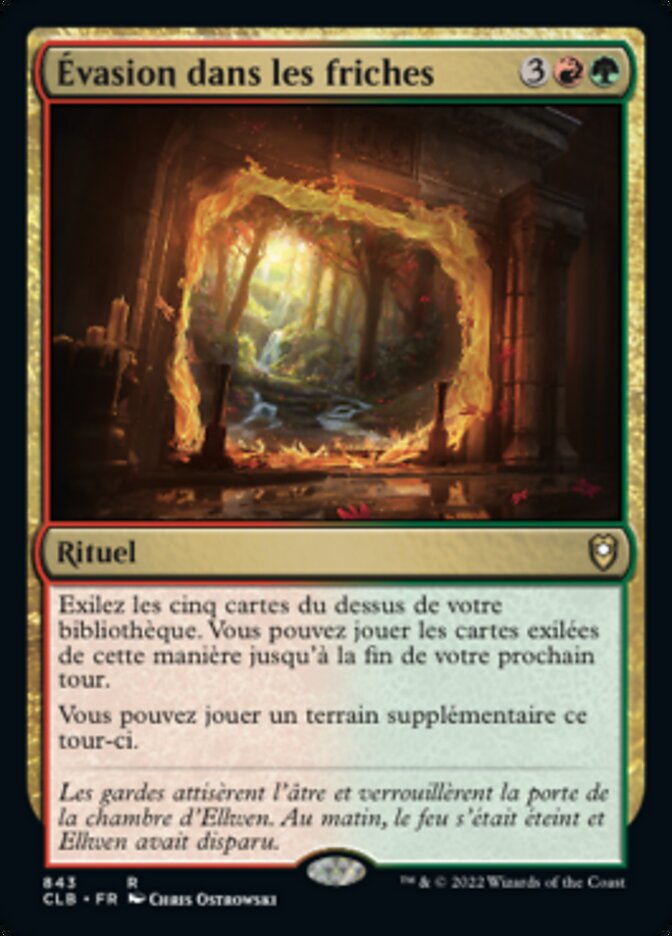 image Évasion dans les friches