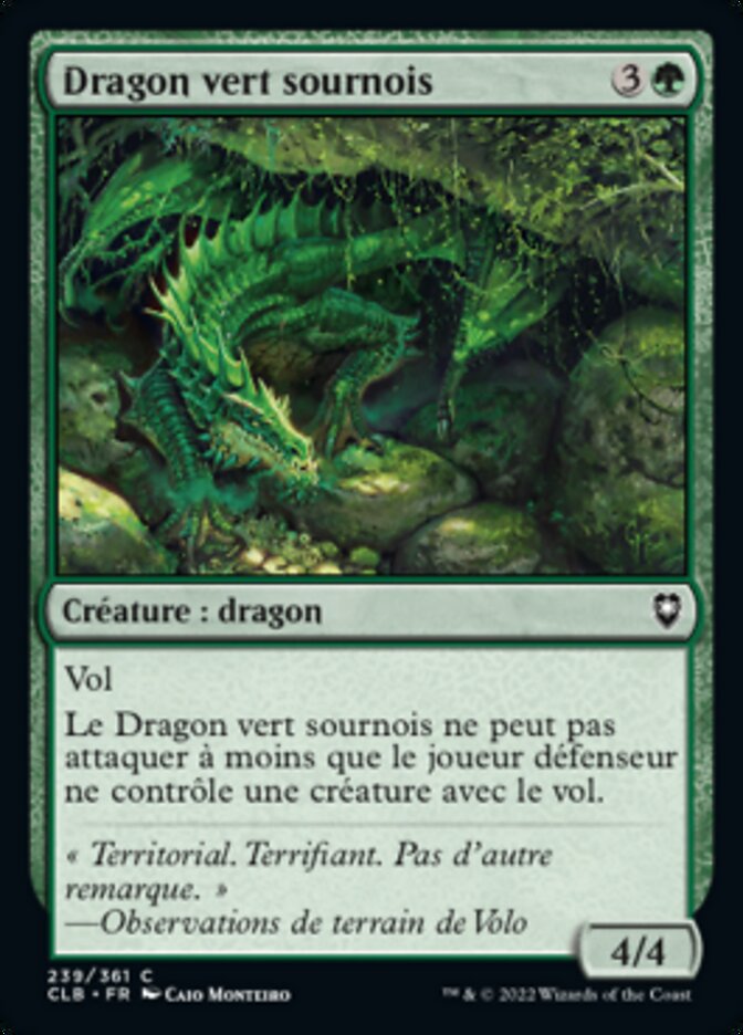 image Dragon vert sournois