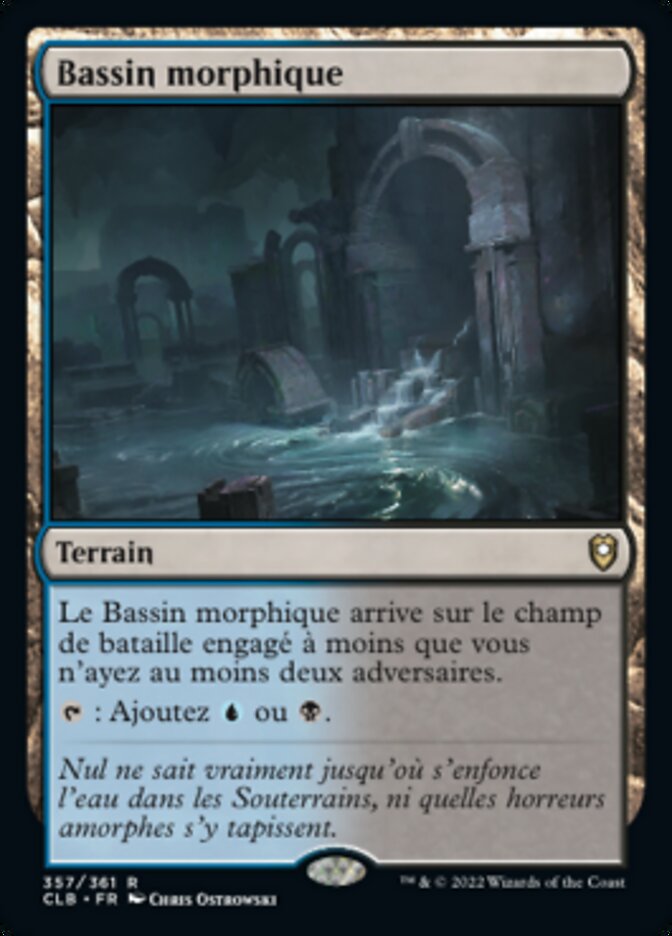 image Bassin morphique