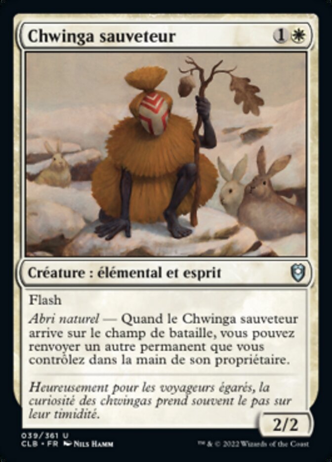 image Chwinga sauveteur