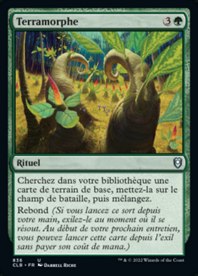 image Terramorphe