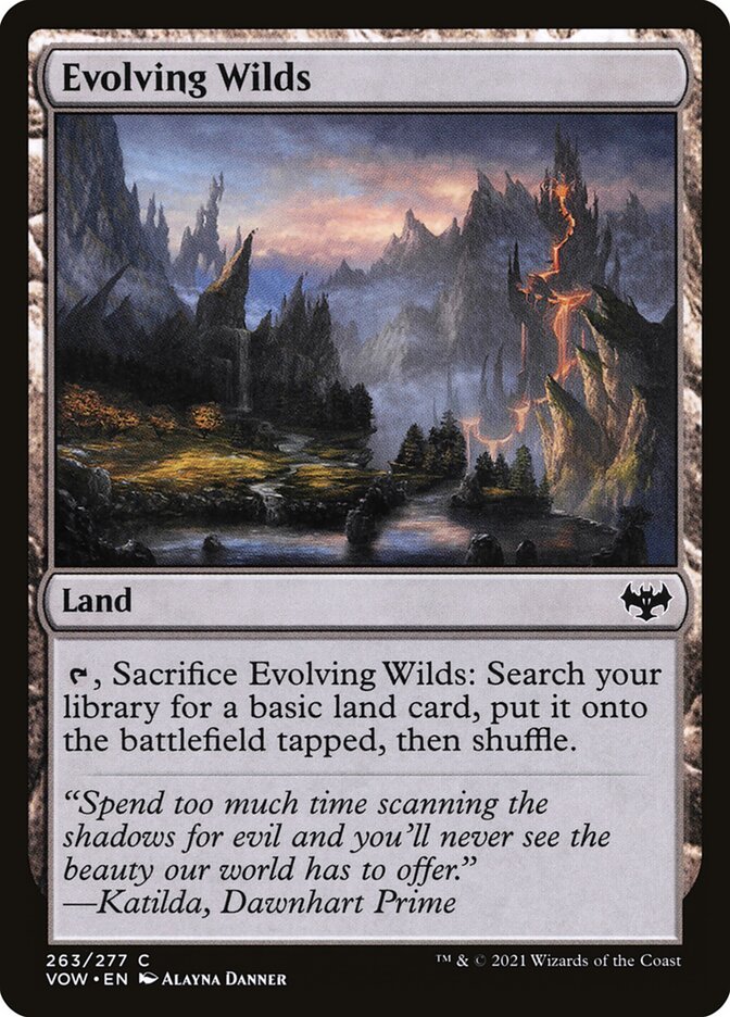 image Evolving Wilds