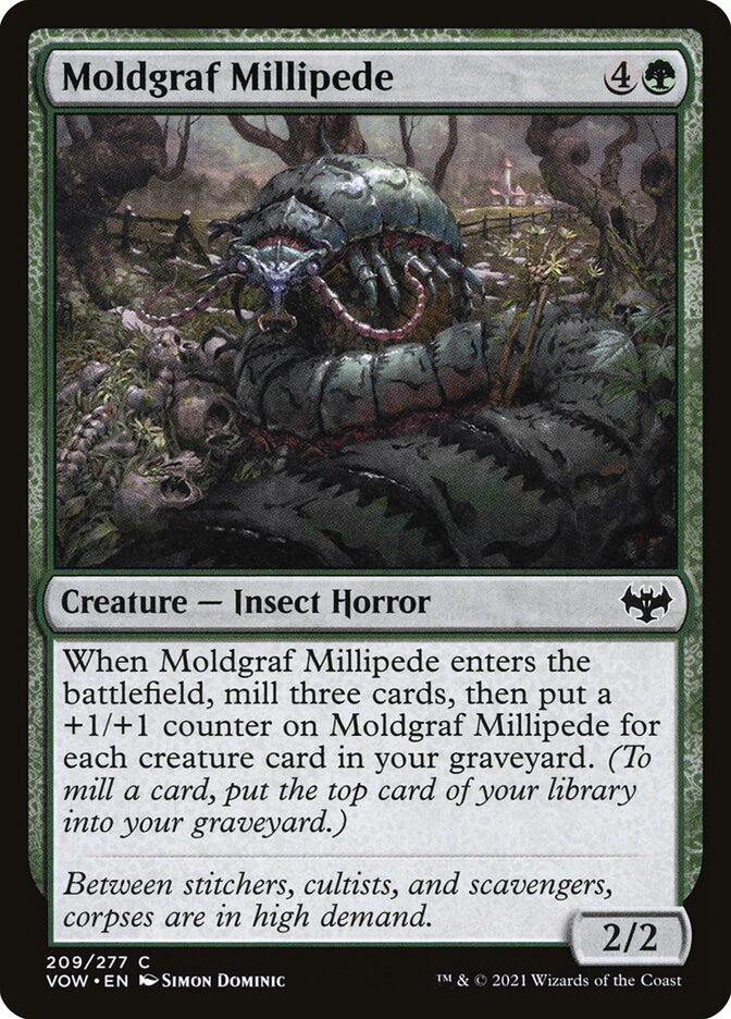 image Moldgraf Millipede