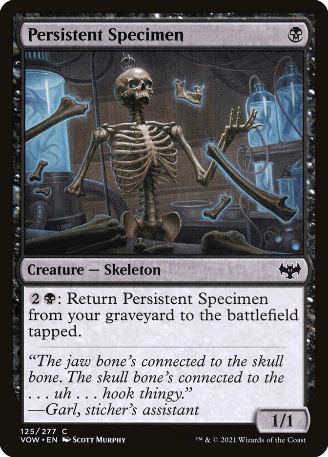 image Persistent Specimen