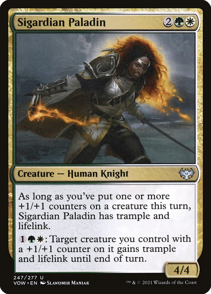image Sigardian Paladin