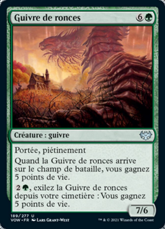 image Guivre de ronces