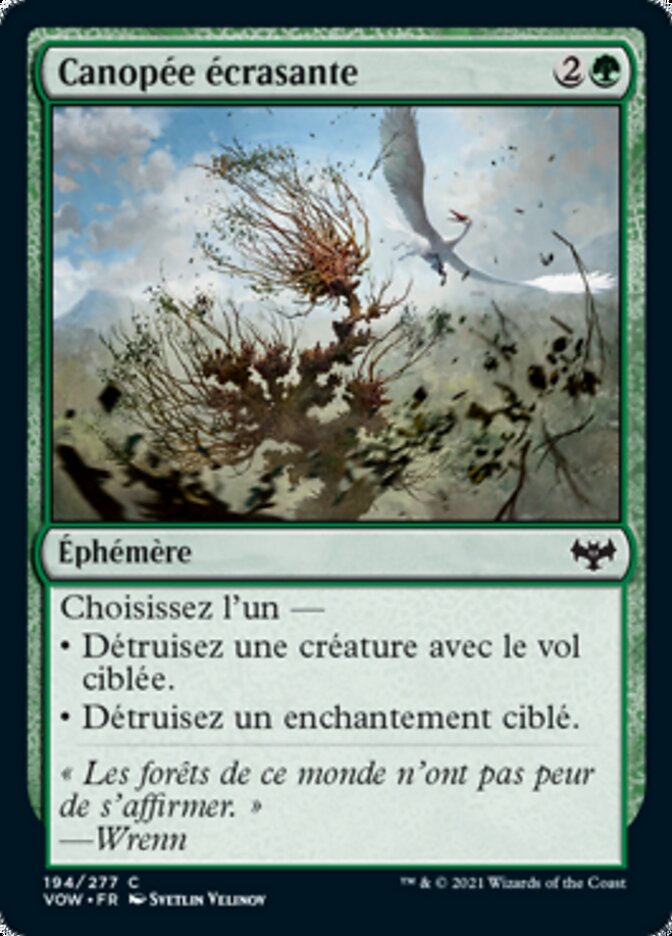image Canopée écrasante