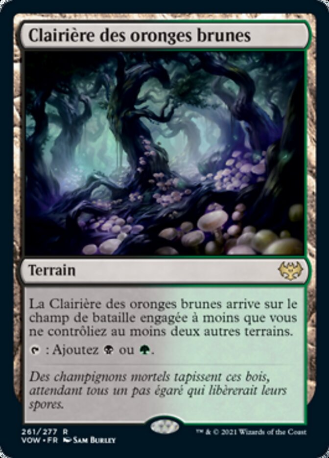 image Clairière des oronges brunes