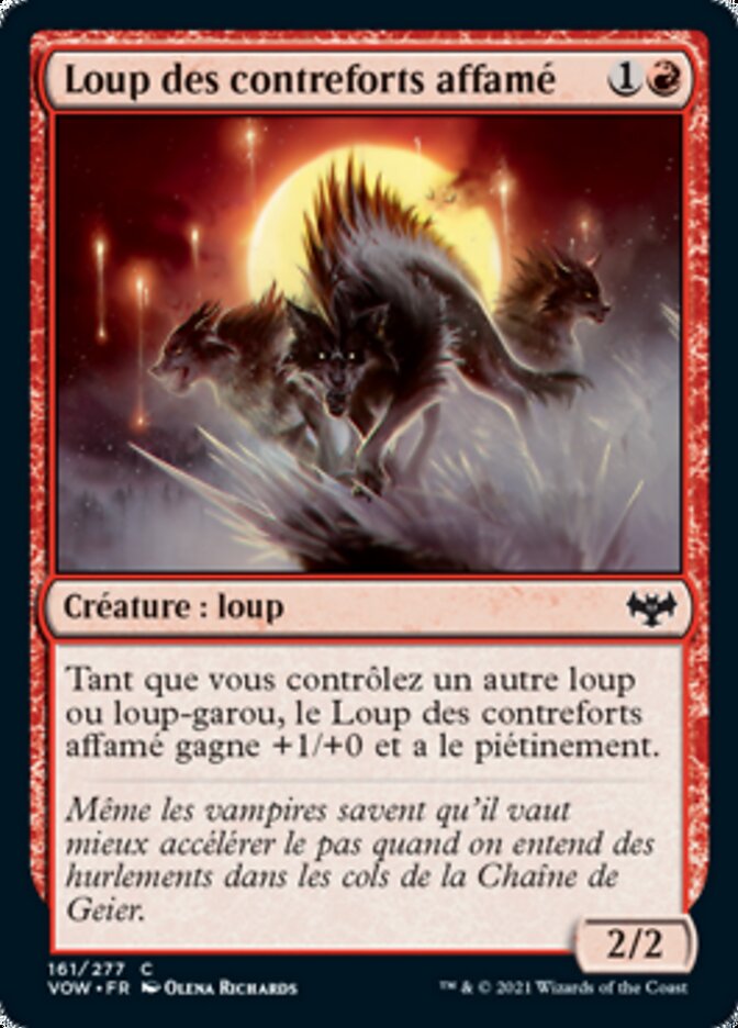 image Loup des contreforts affamé