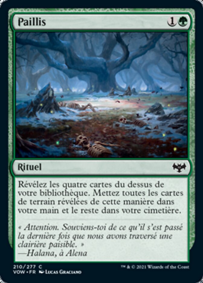 image Paillis