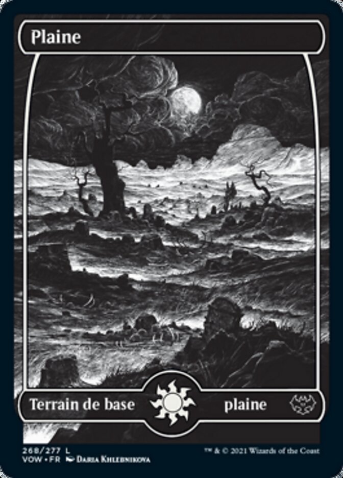 image Plaine