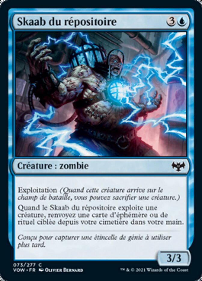image Skaab du répositoire
