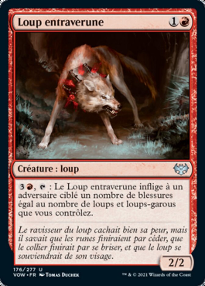 image Loup entraverune
