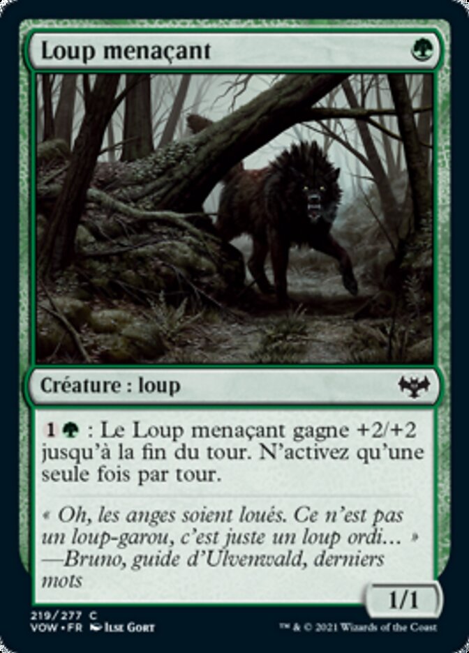 image Loup menaçant