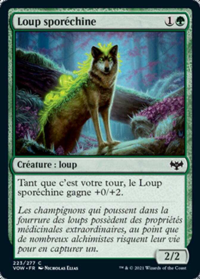 image Loup sporéchine