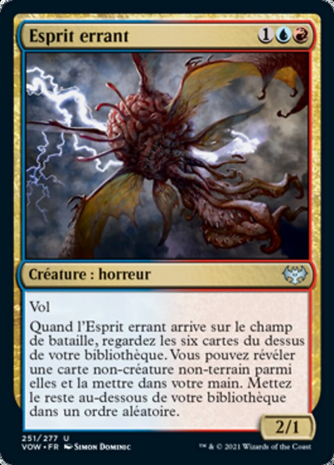 image Esprit errant