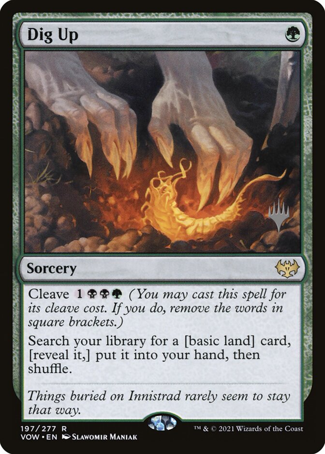 image Dig Up