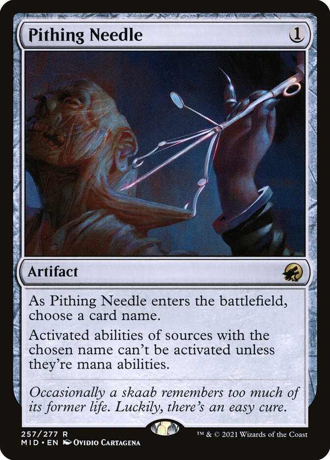 image Pithing Needle