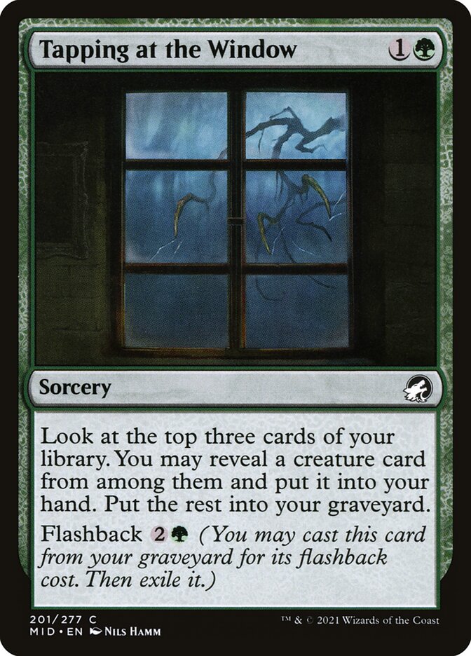 image Tapping at the Window