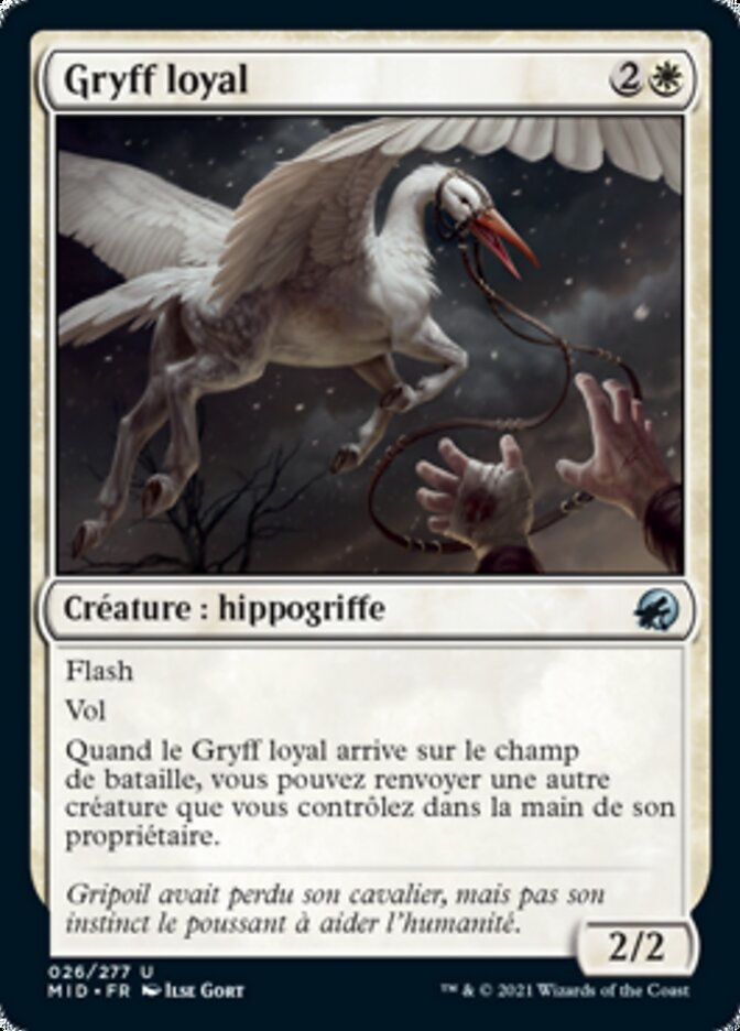 image Gryff loyal