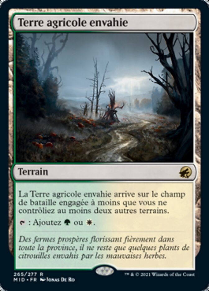 image Terre agricole envahie