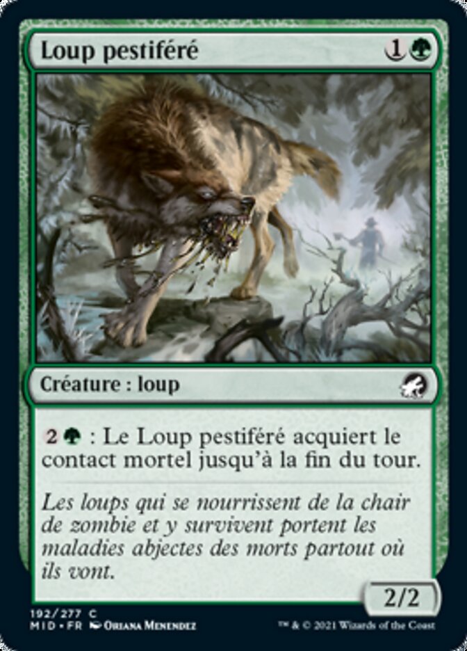 image Loup pestiféré
