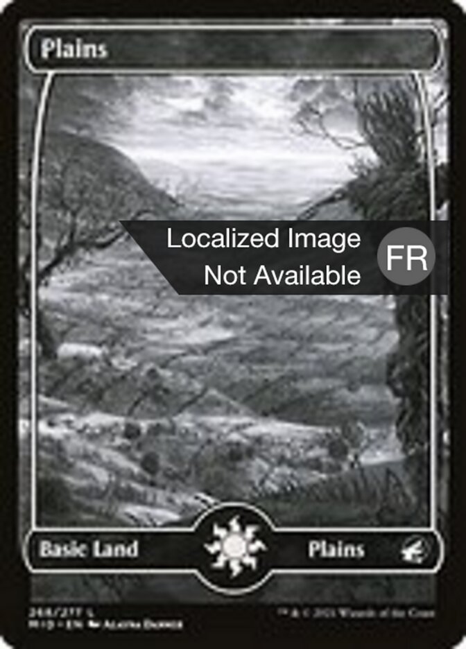 image Plaine