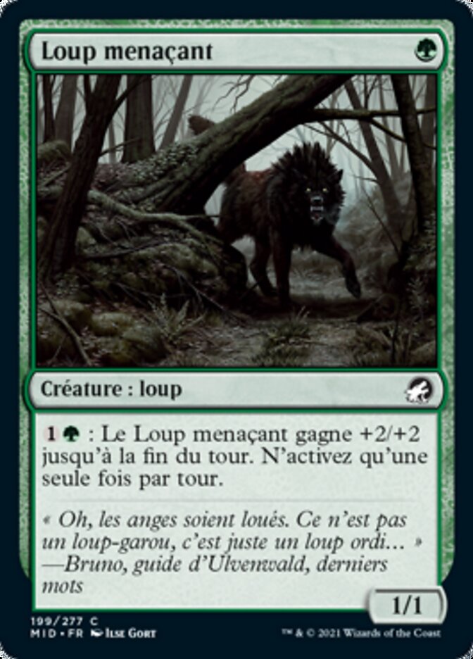 image Loup menaçant