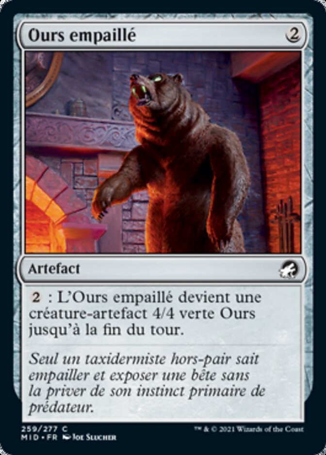 image Ours empaillé