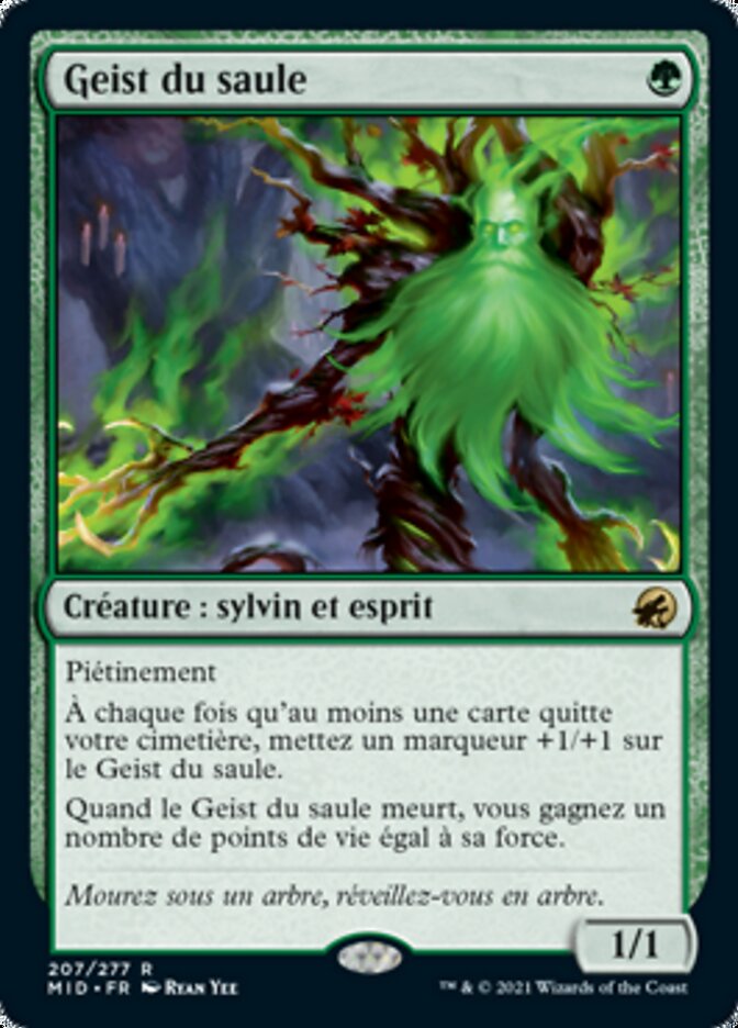image Geist du saule