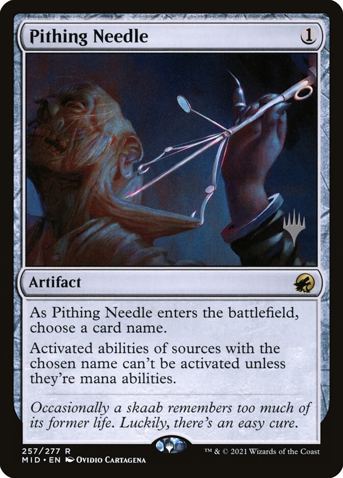 image Pithing Needle