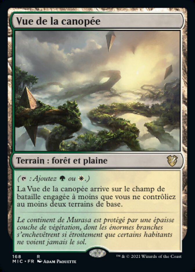 image Vue de la canopée