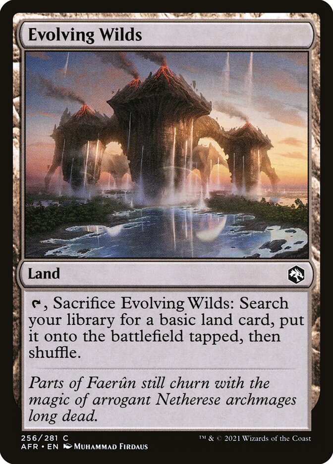 image Evolving Wilds