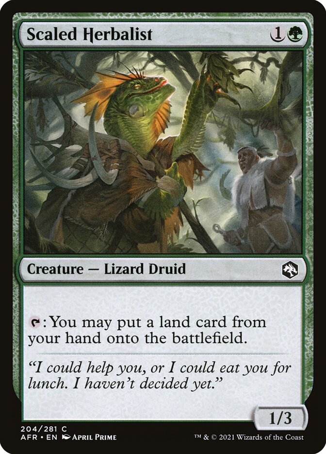 image Scaled Herbalist