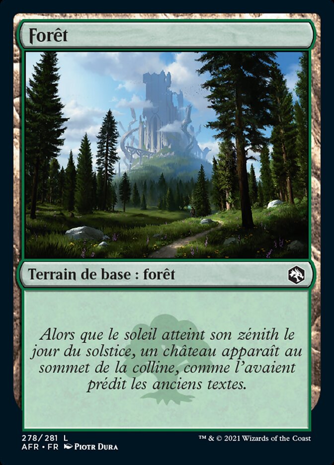 image Forêt