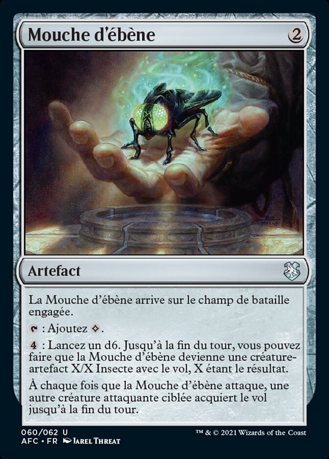 image Mouche d'ébène