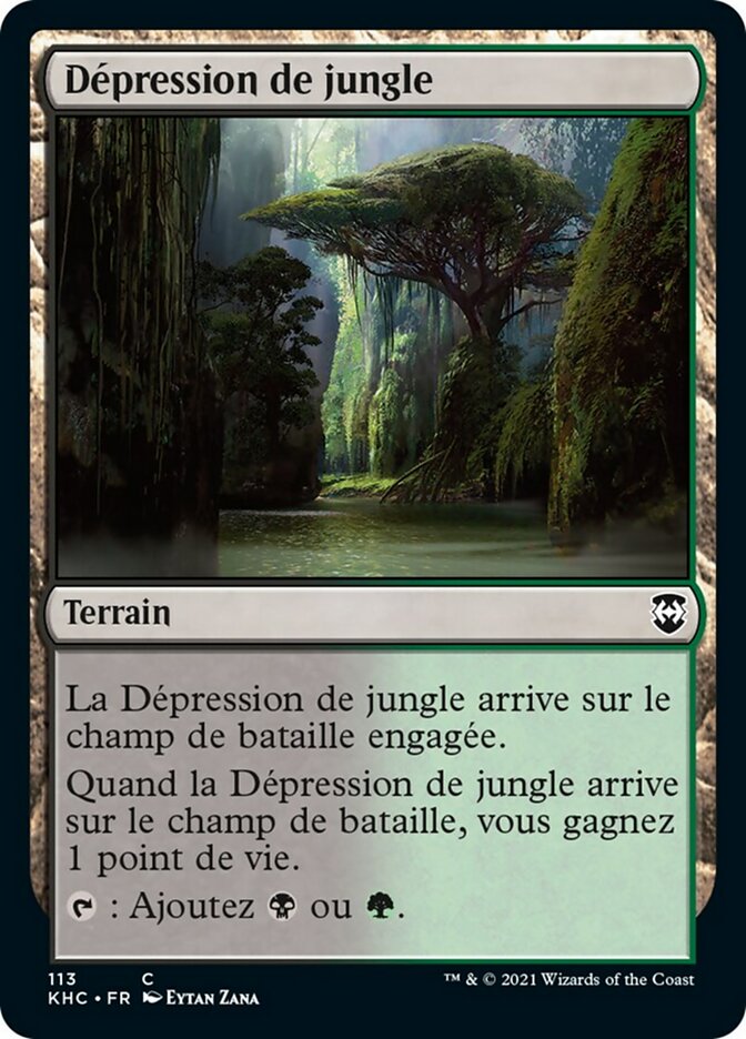 image Dépression de jungle